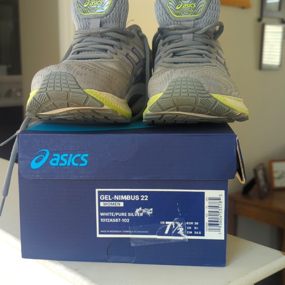Asics Gel Nimbus 22